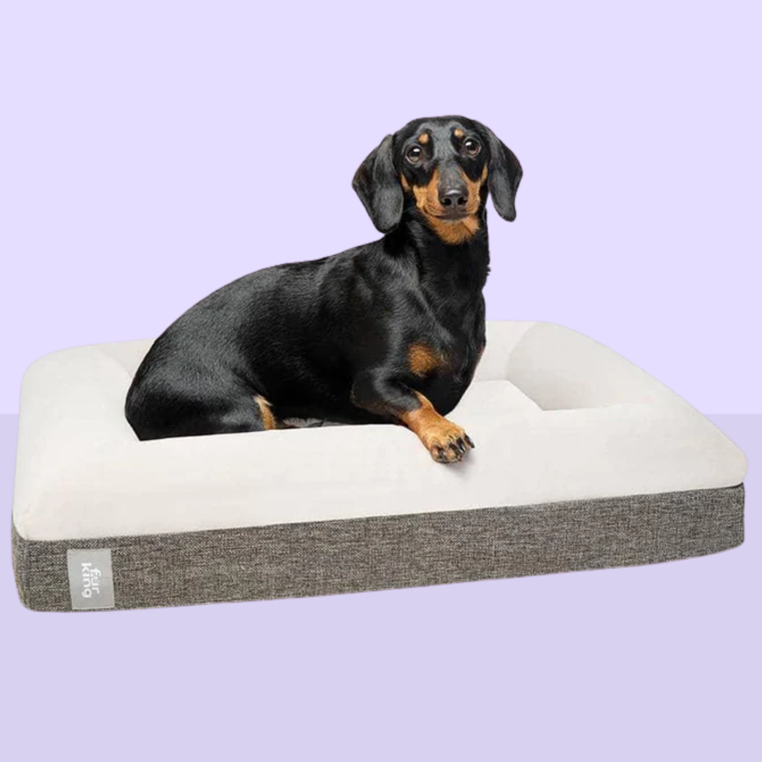 Best Orthopedic Dog Bed | Fur King "Ortho"