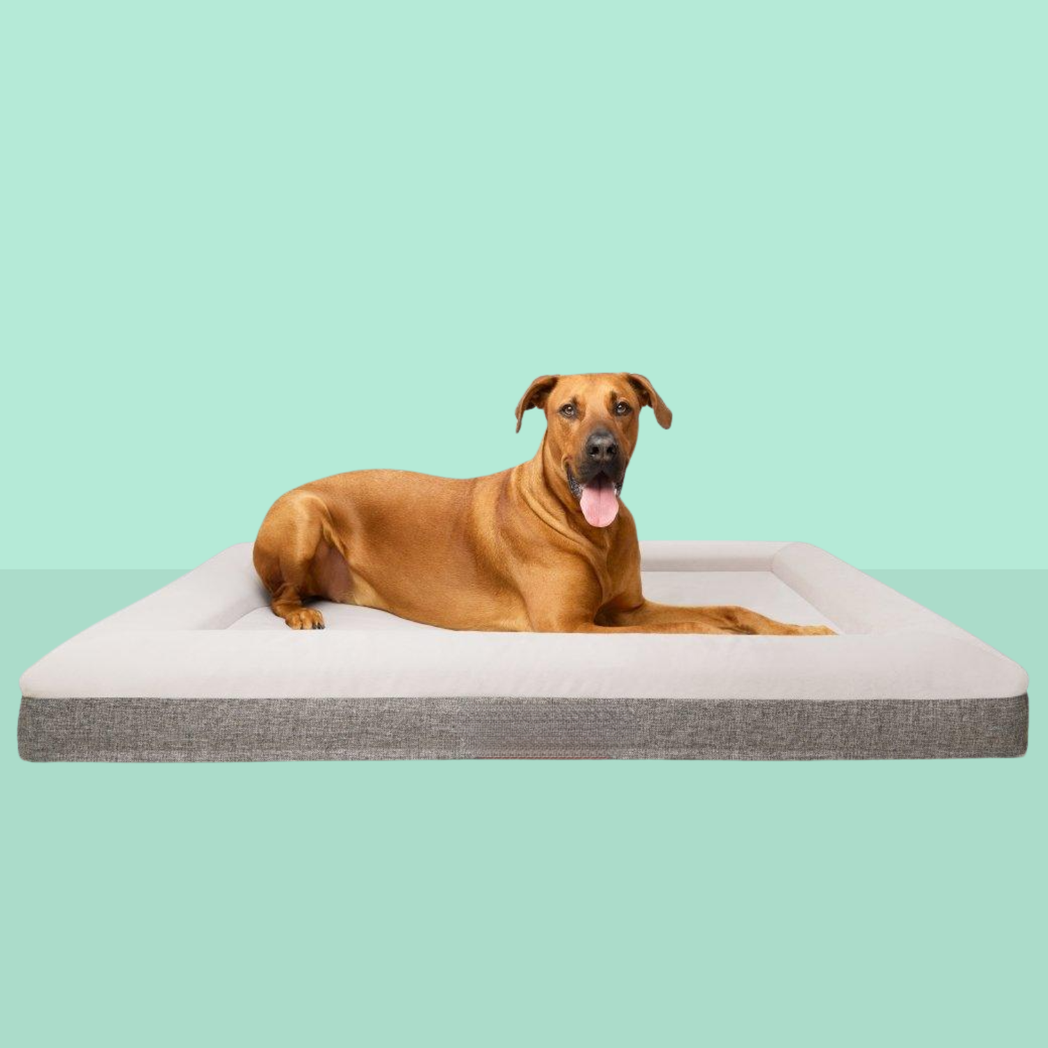 Best Orthopedic Dog Bed | Fur King "Ortho"