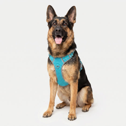 Best No Pull Dog Harness | Fur King Ultimate No Pull Harness