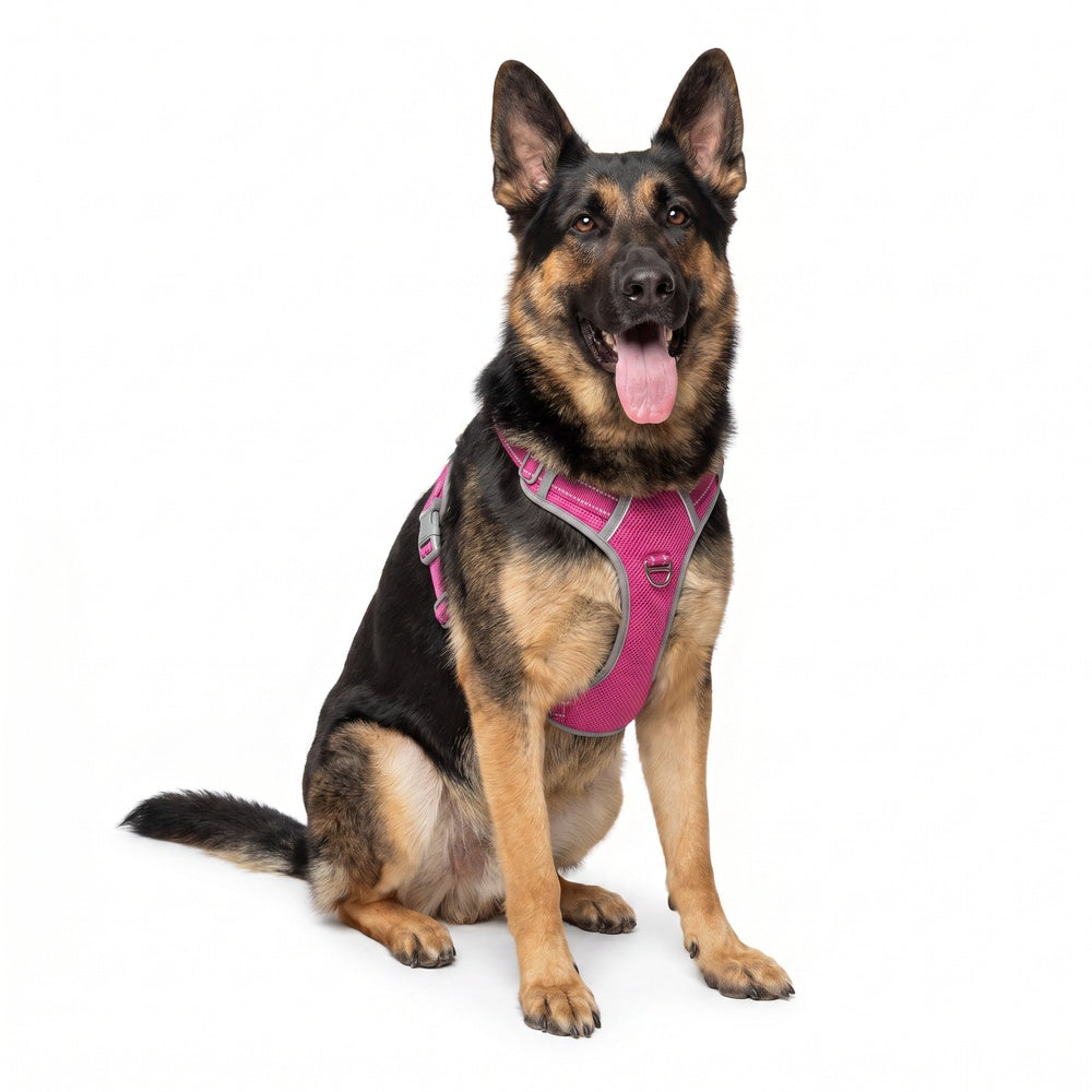 Best No Pull Dog Harness | Fur King Ultimate No Pull Harness
