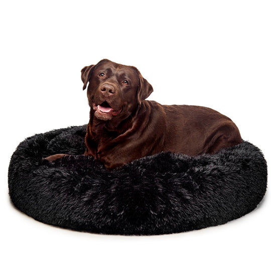 Best Calming Dog Bed | Fur King "Aussie" | Vet Recommended
