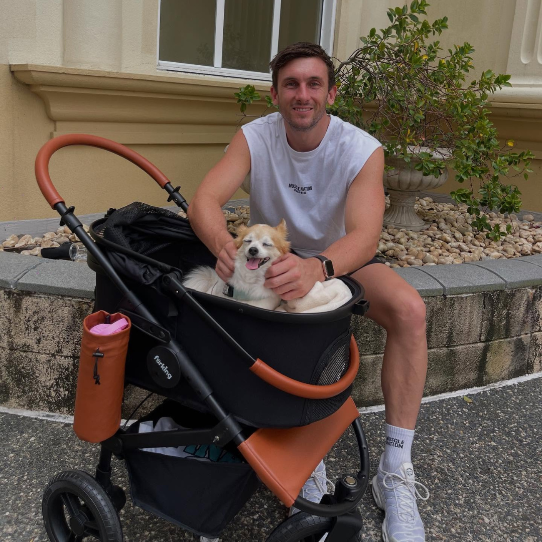 Fur King Jogger Dog Pram