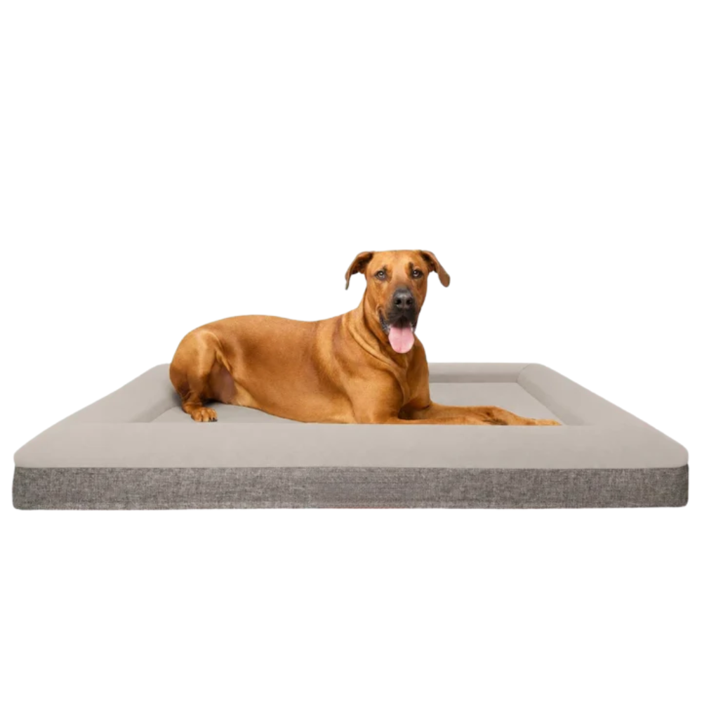 Best Orthopedic Dog Bed | Fur King "Ortho"
