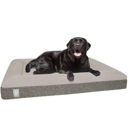 Best Orthopedic Dog Bed | Fur King 