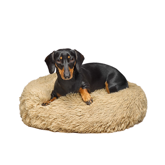 Best Calming Dog Bed | Fur King "Aussie" | Vet Recommended