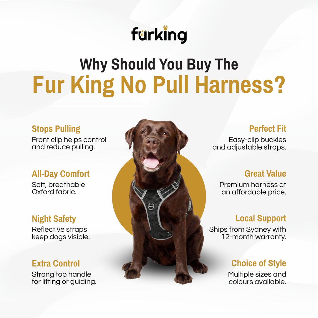 Best No Pull Dog Harness | Fur King Ultimate No Pull Harness