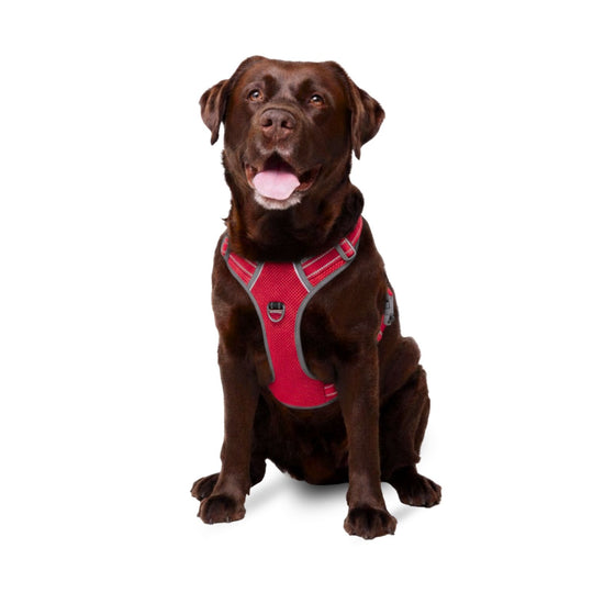 Best No Pull Dog Harness | Fur King Ultimate No Pull Harness