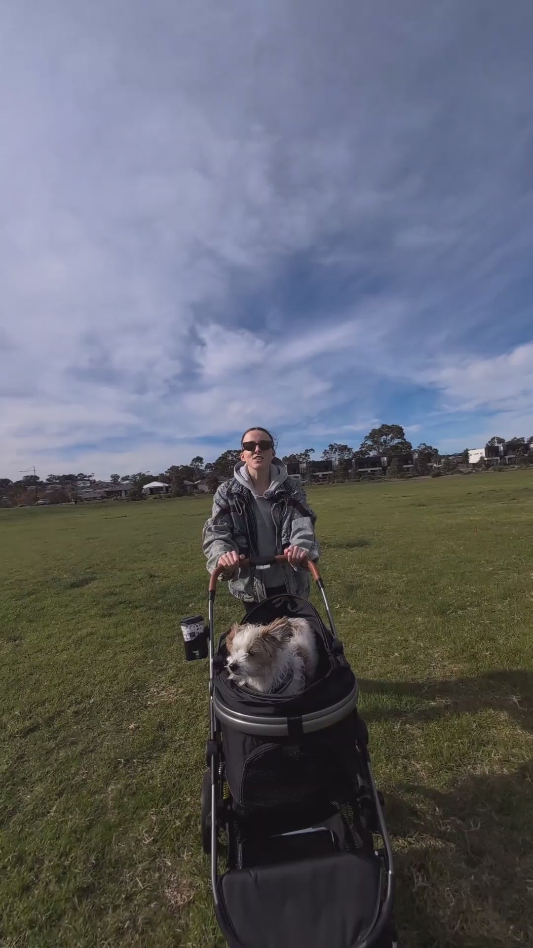 Fur King Royal - 20kg Pet Stroller