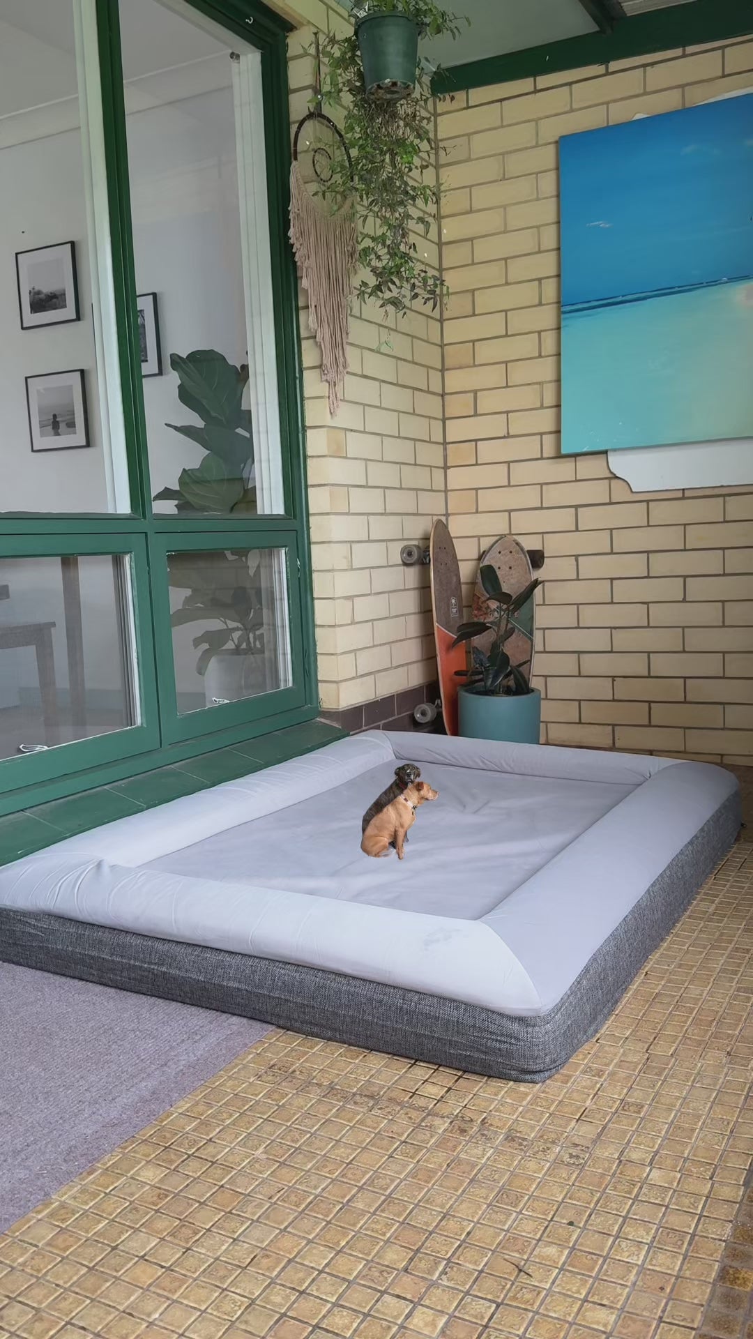 Best Orthopedic Dog Bed | Fur King "Ortho"