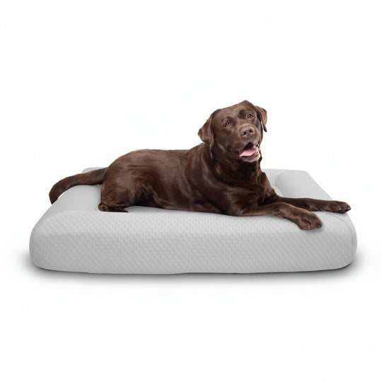 Fur King Ortho Bed Cooling Bundle