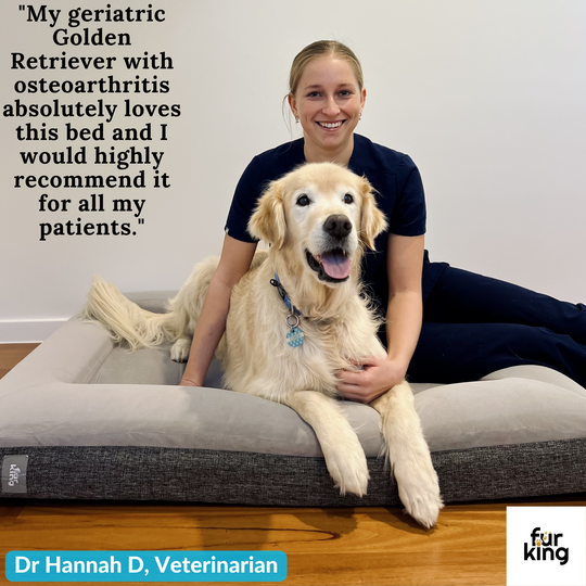 Best Orthopedic Dog Bed | Fur King "Ortho"