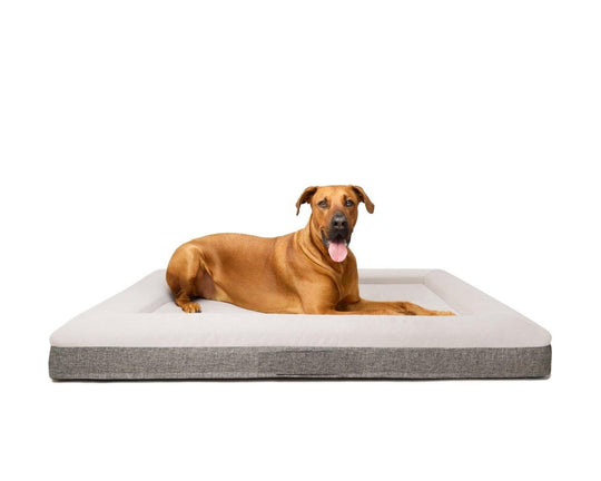 Fur King "Ortho" Orthopedic Dog Bed - Pet Parlour Australia